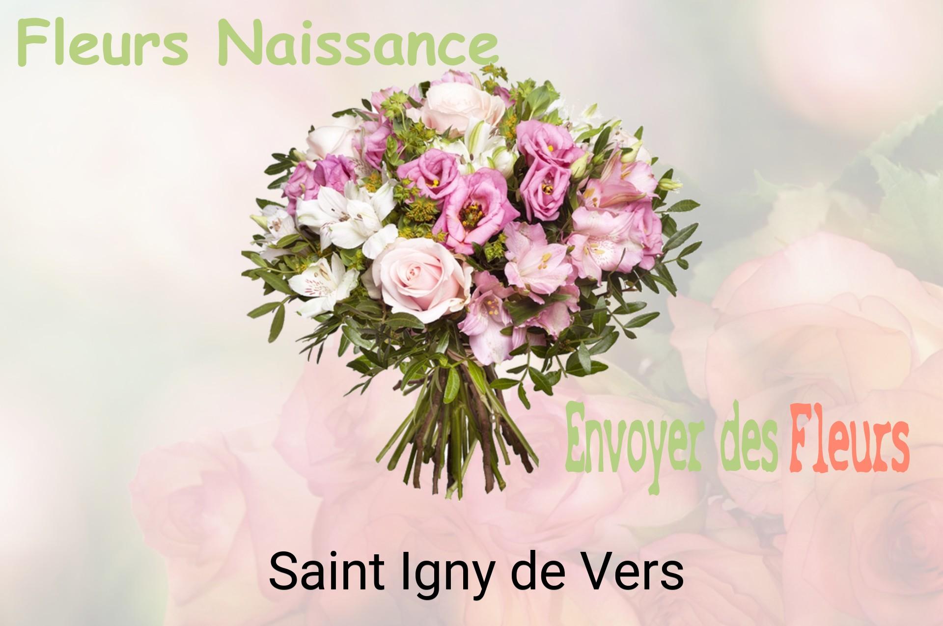 Bouquet de fleurs de naissance livré à Saint-Igny-de-Vers