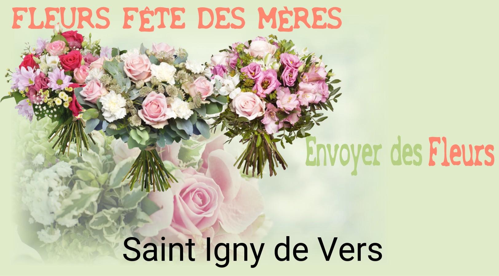 Bouquet de Fête des Mères livré à Saint-Igny-de-Vers